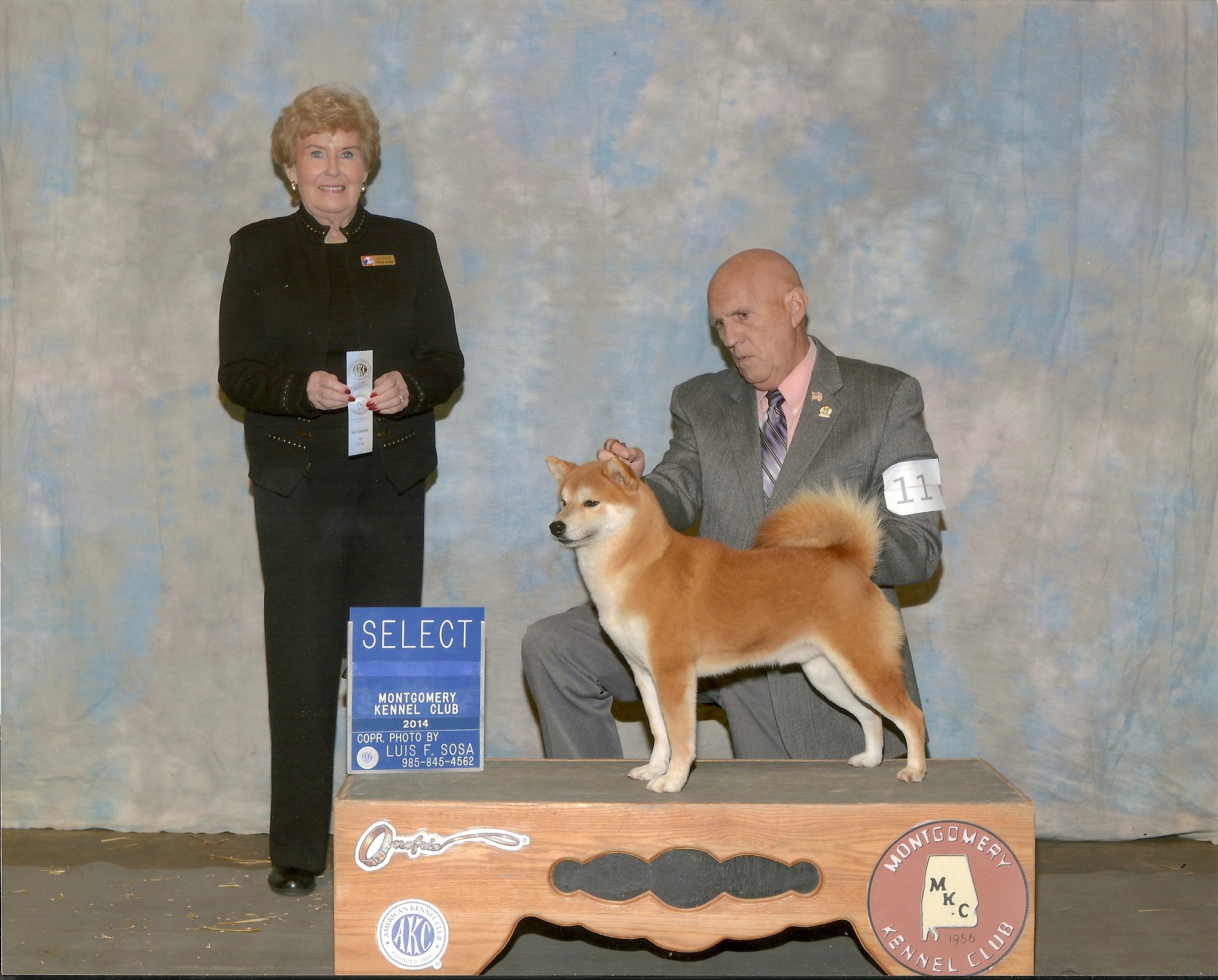 Shiba Inu Puppies For Sale Shiba Inu Puppies For Sale